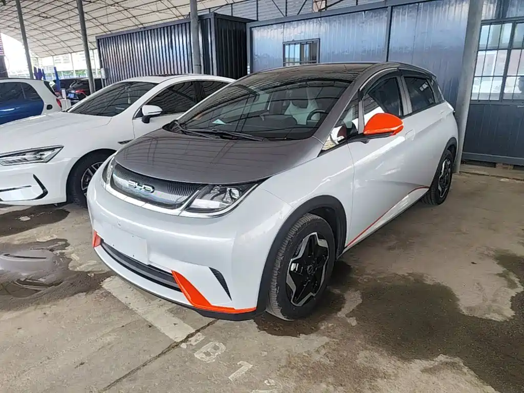 BYD Dolphin 2021