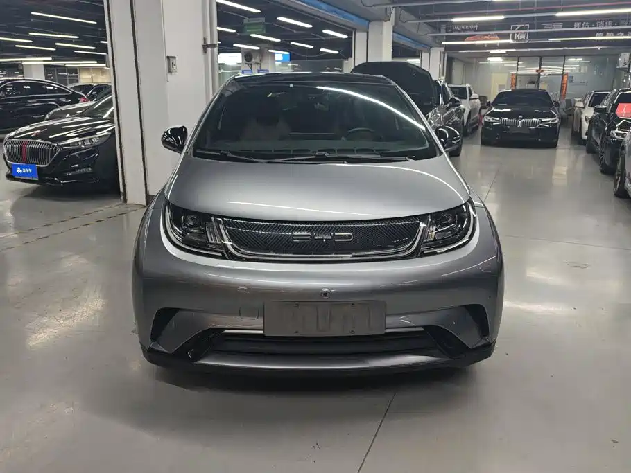 BYD Dolphin 2023