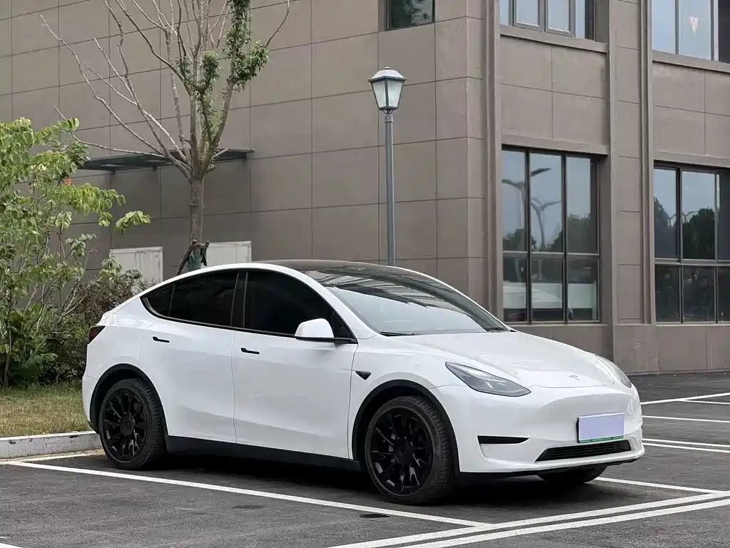 Tesla Model Y 2024 — фото 3