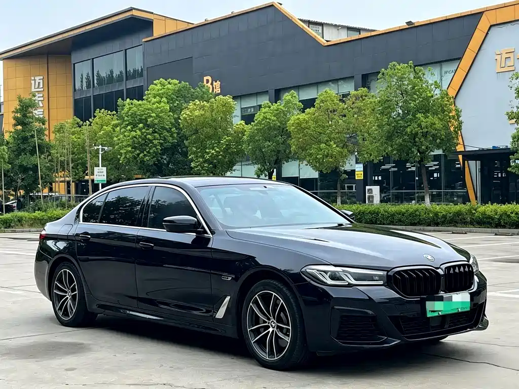 BMW 5 Series New Energy 2022