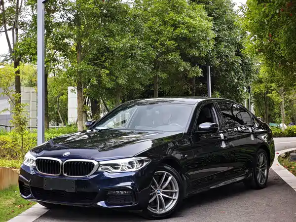 BMW 5 Series 2019