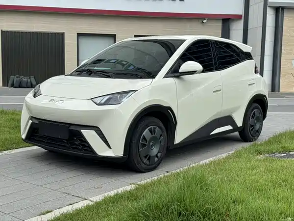 BYD Seagull 2025