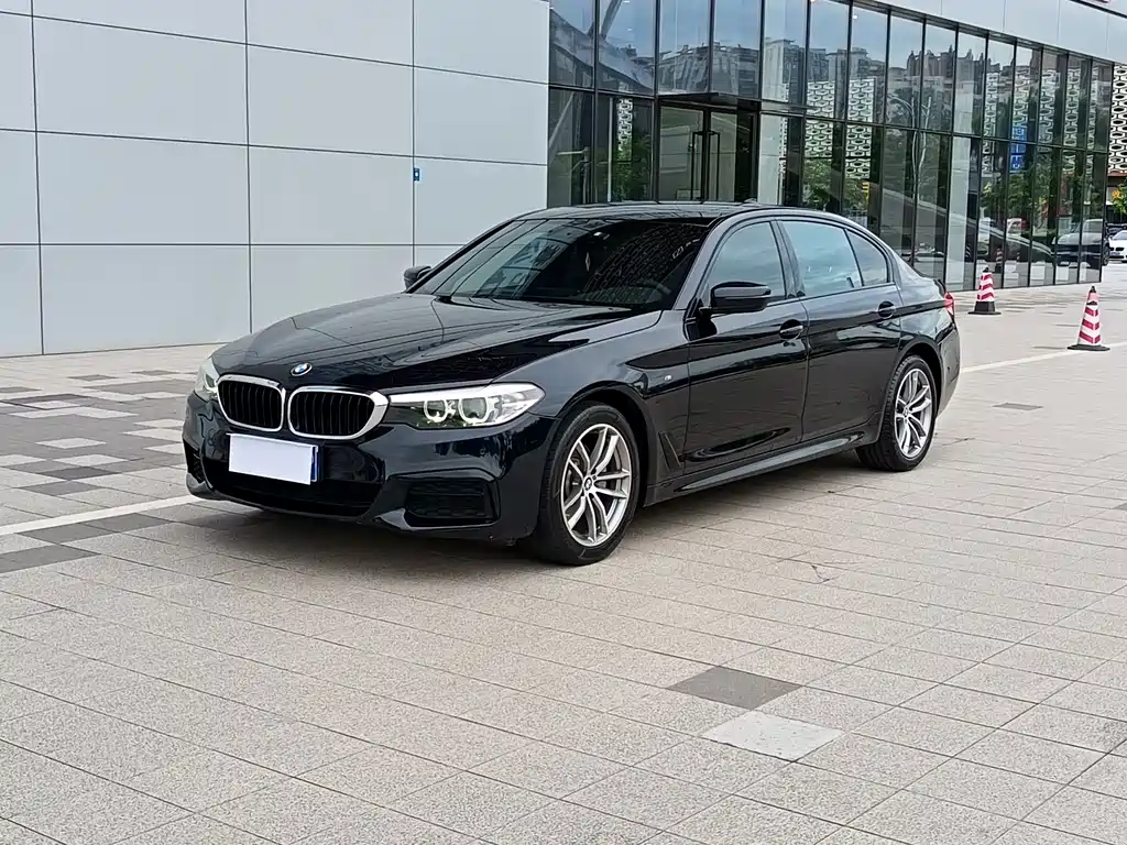 BMW 5 Series 2019