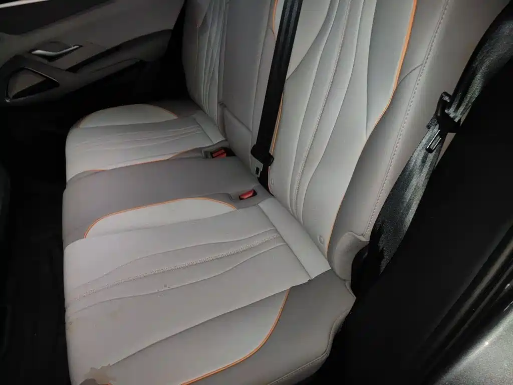 BYD Song Pro New Energy 2025 — фото 13