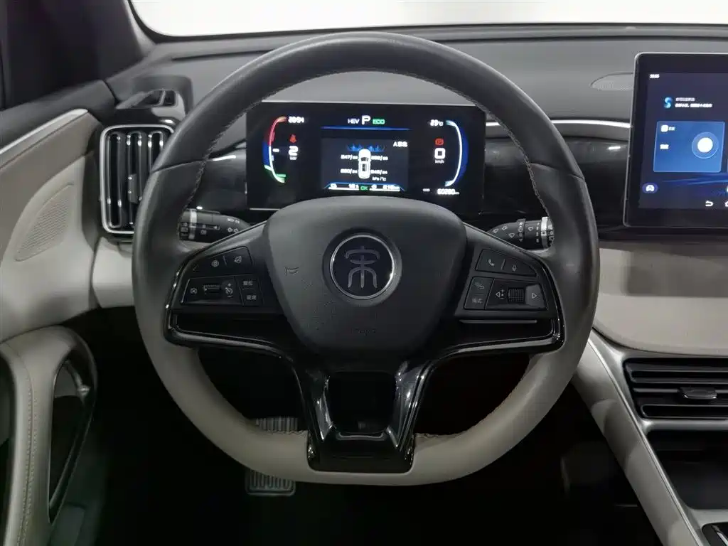 BYD Pro New Energy 2024 — фото 11
