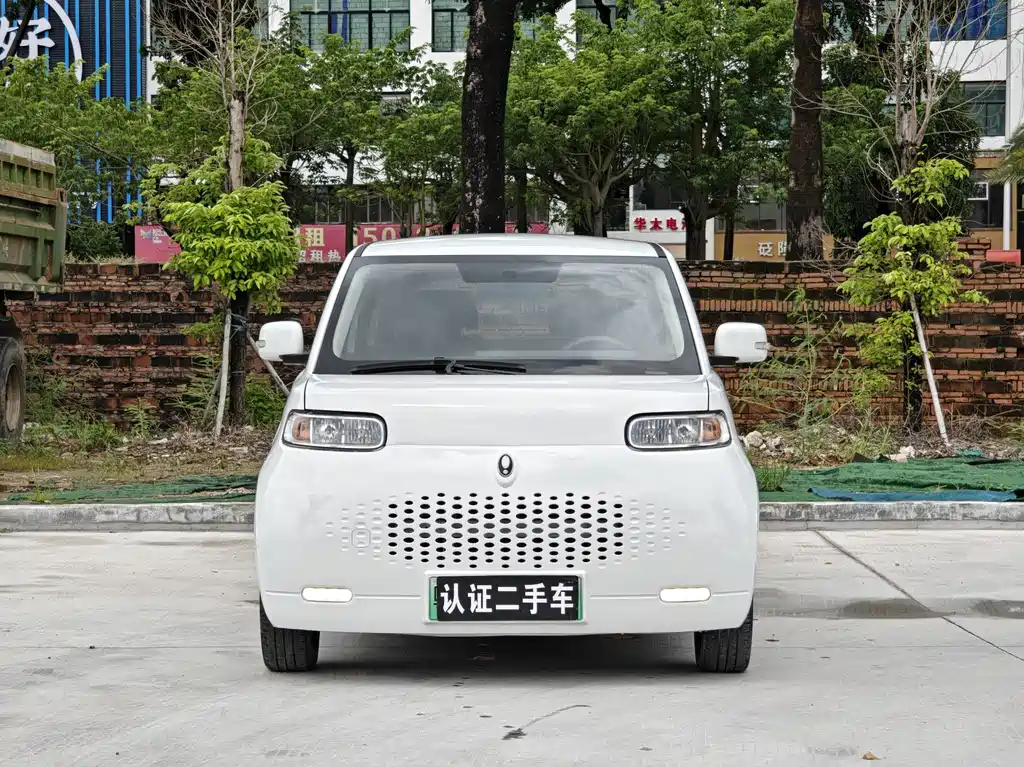 Ora White Cat 2022