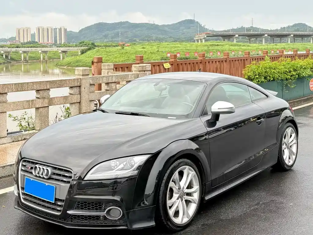 Audi TTS 2013
