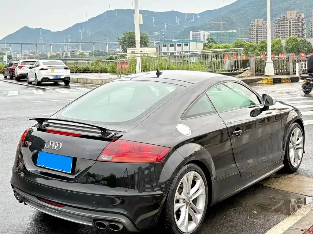 Audi TTS 2013