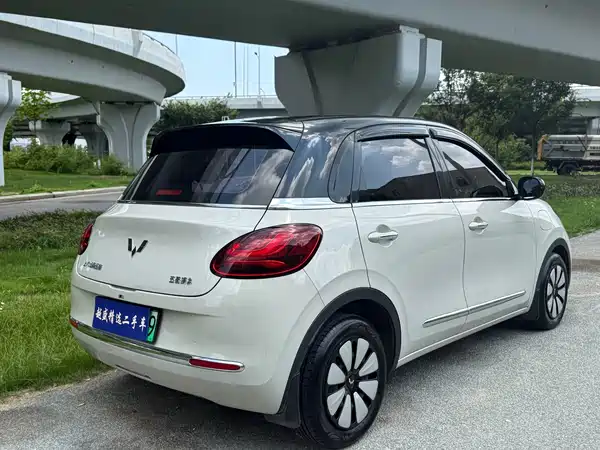 Wuling Bingo 2024