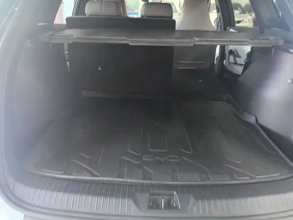 BYD Song Pro New Energy 2024