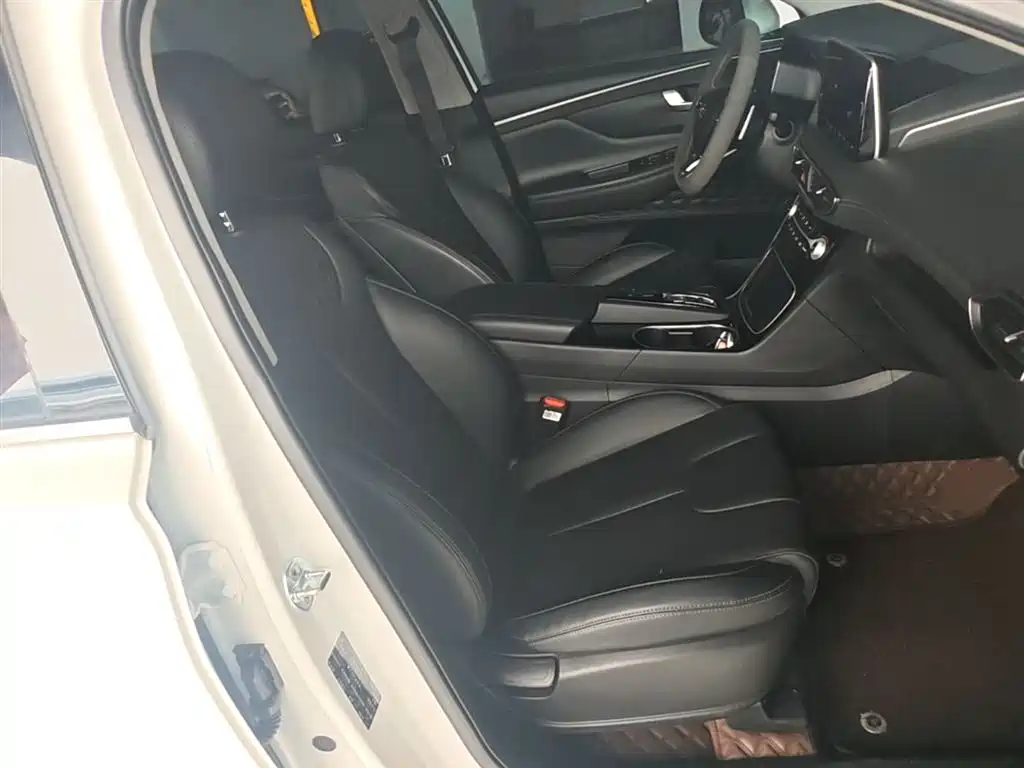Hyundai Santa Fe 2023 — фото 25