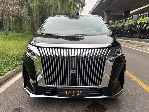 Wey Wey 2025