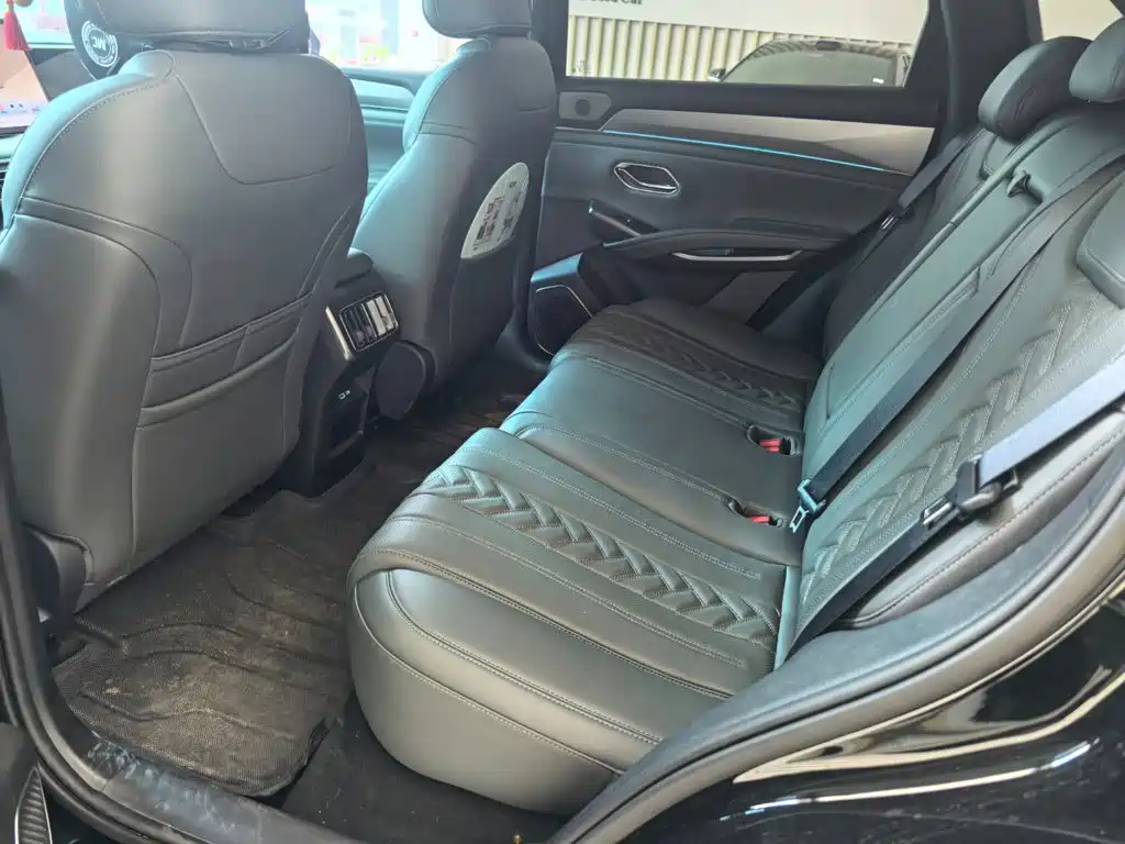 BYD Song L DM-i 2025 — фото 6