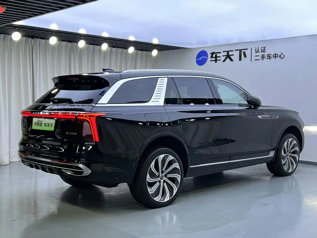 Hongqi E-HS9 2023 — фото 5