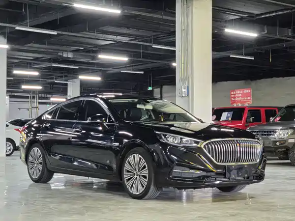 Hongqi H5 2021
