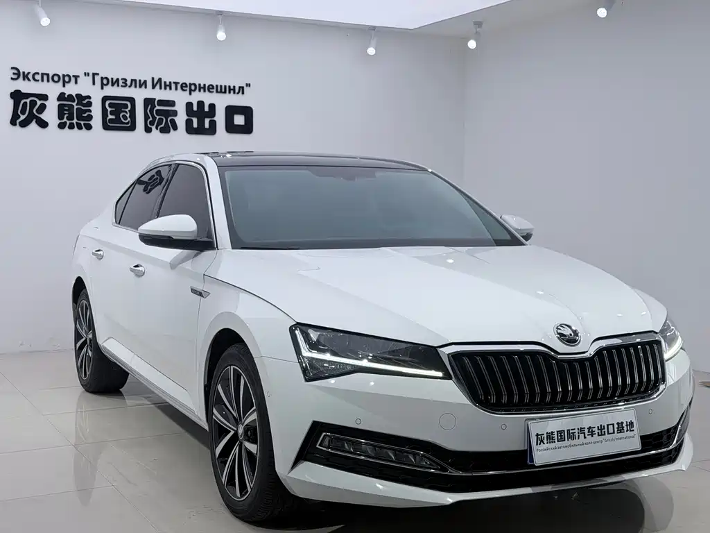 Skoda Speedy 2024