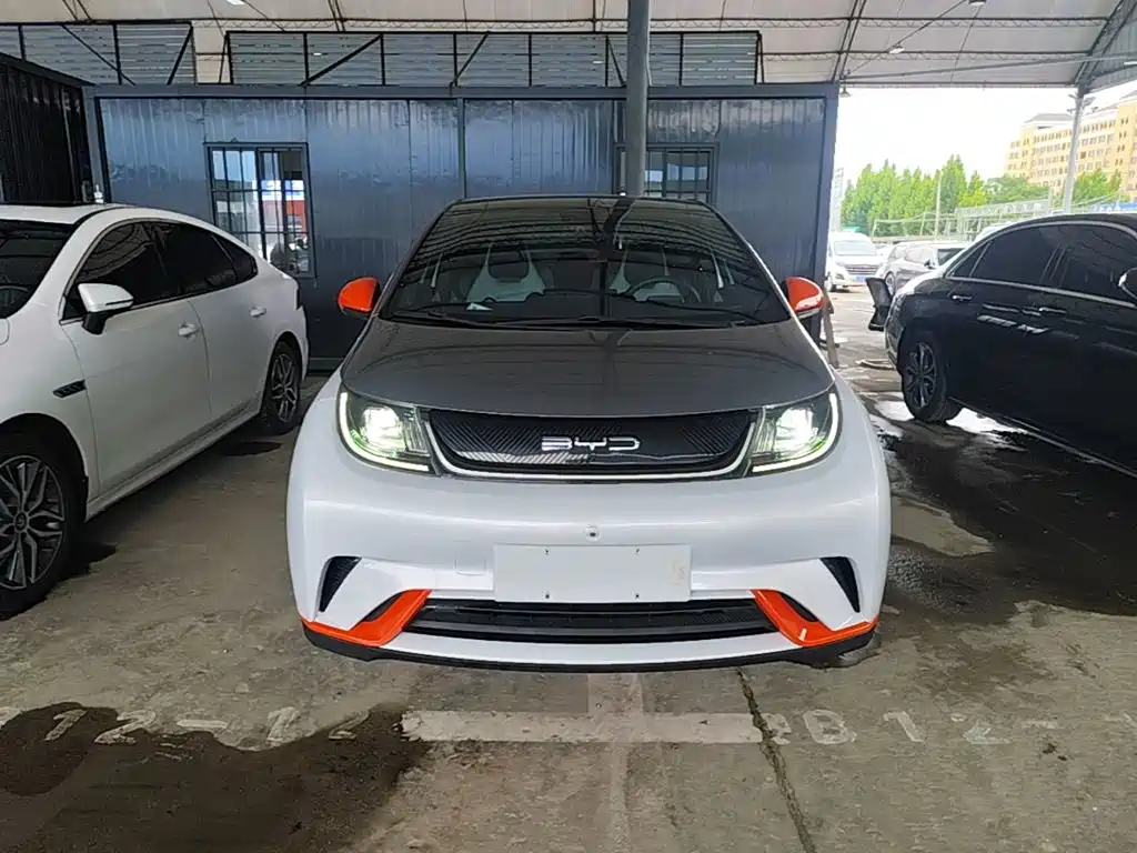 BYD Dolphin 2021