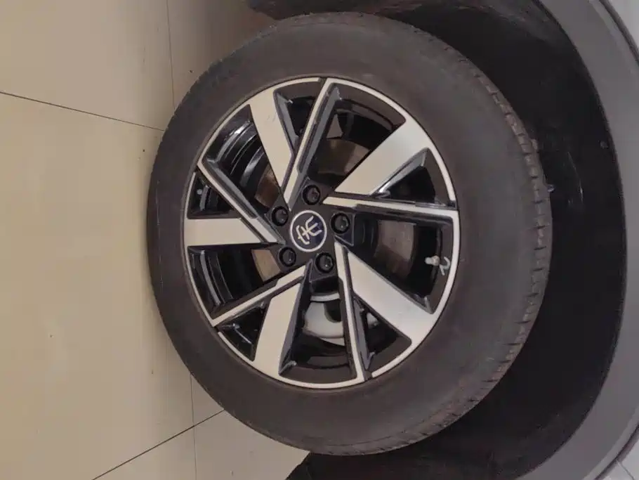BYD Song Pro New Energy 2024 — фото 6