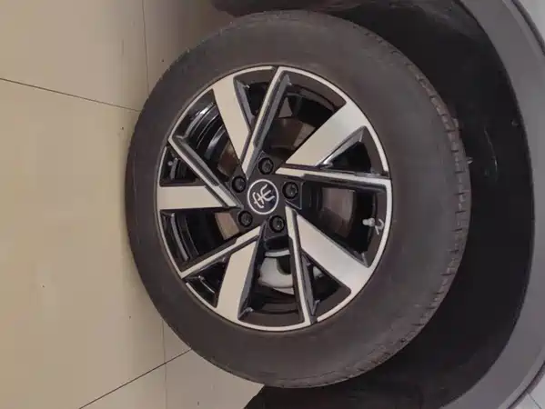 BYD Song Pro New Energy 2024