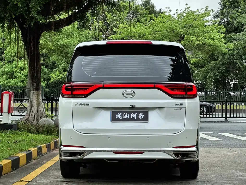 GAC Motor Trumpchi M8 2023 — фото 9