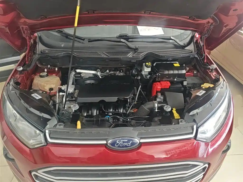 Ford Ecosport 2017 — фото 20