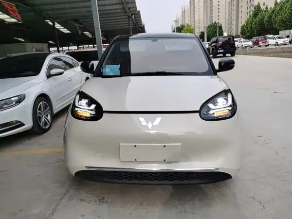 Wuling Bingo 2024