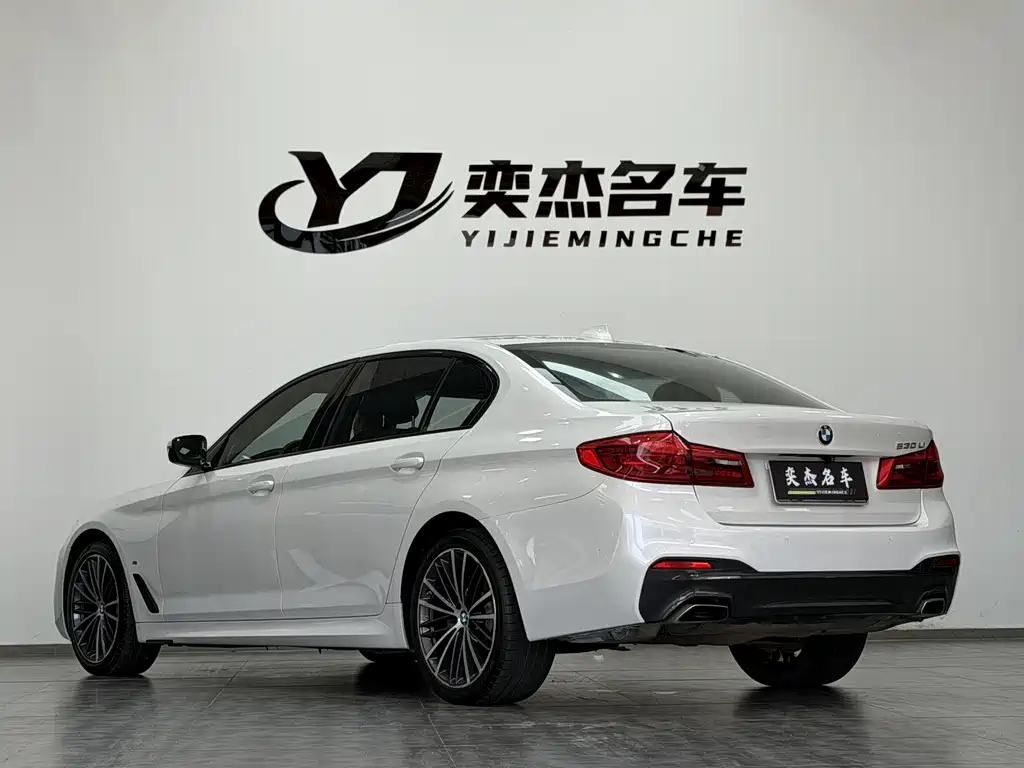 BMW 5 Series 2019