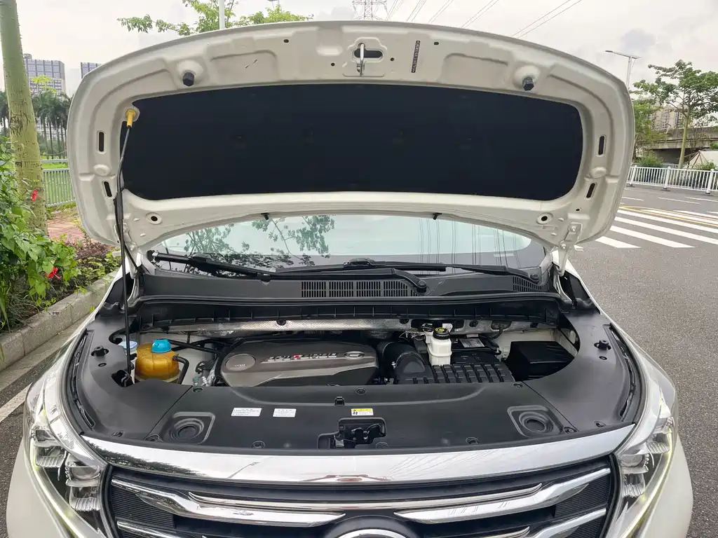 GAC Motor Trumpchi M8 2019 — фото 27