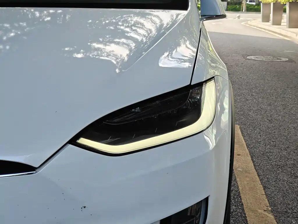 Tesla Model X 2017 — фото 14