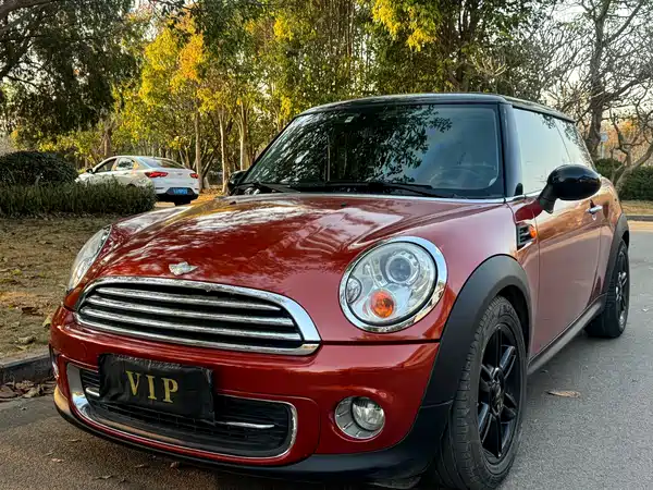 MINI 2011