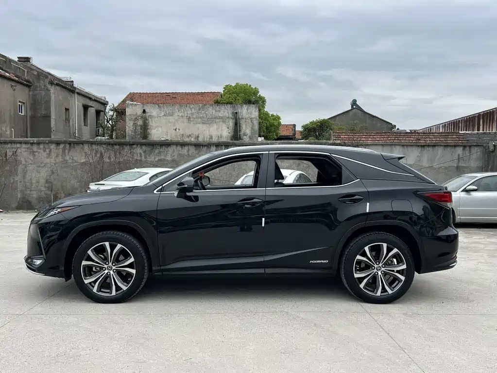 Lexus RX 2020 — фото 16