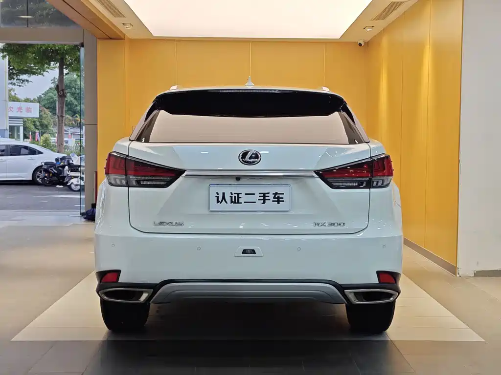 Lexus RX 2022 — фото 32