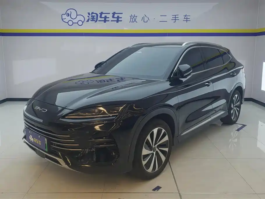 BYD Song PLUS New Energy 2024 — фото 1