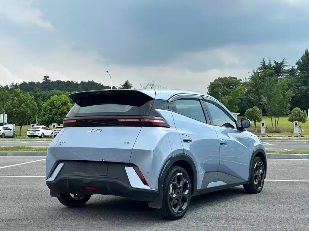 BYD Seagull 2024
