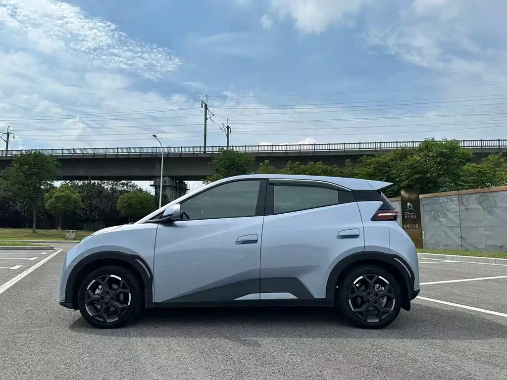 BYD Seagull 2024