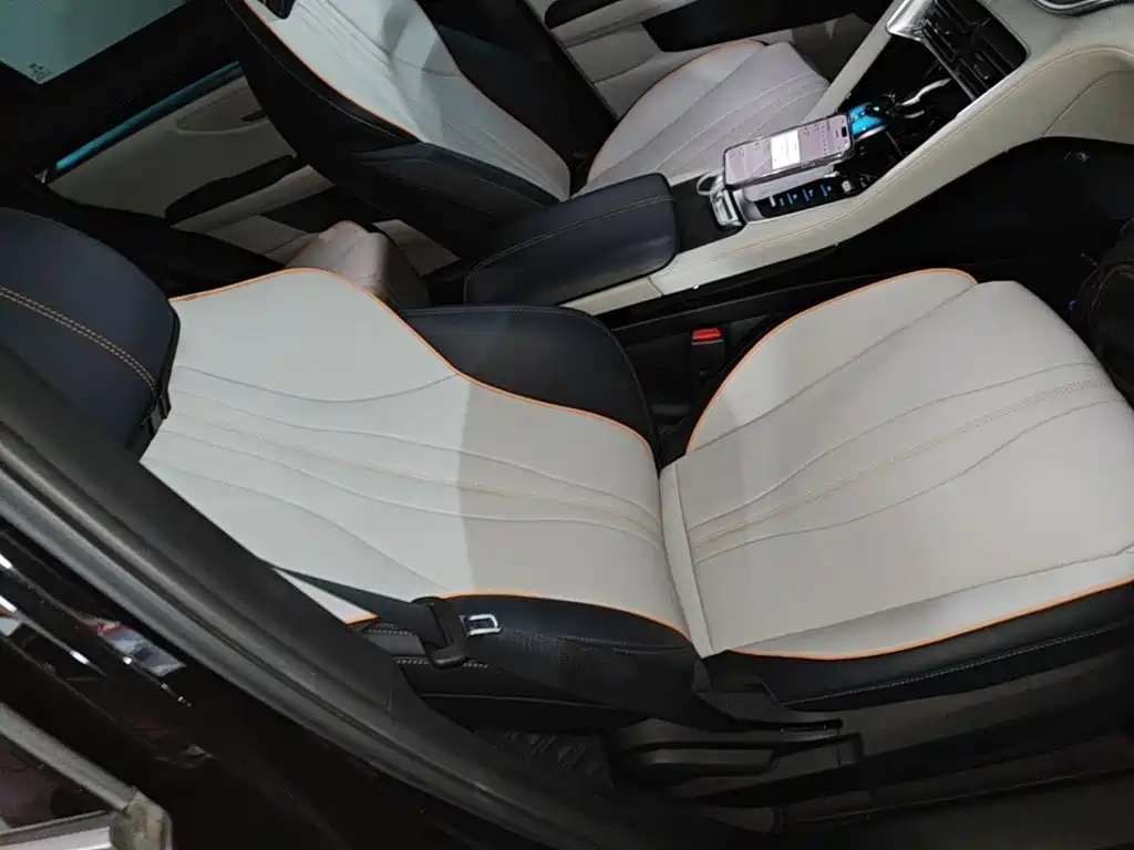 BYD PLUS New Energy 2023 — фото 25