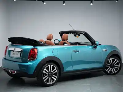 MINI MINI 2020