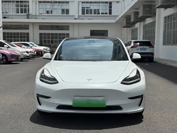 Tesla Model 3 2020
