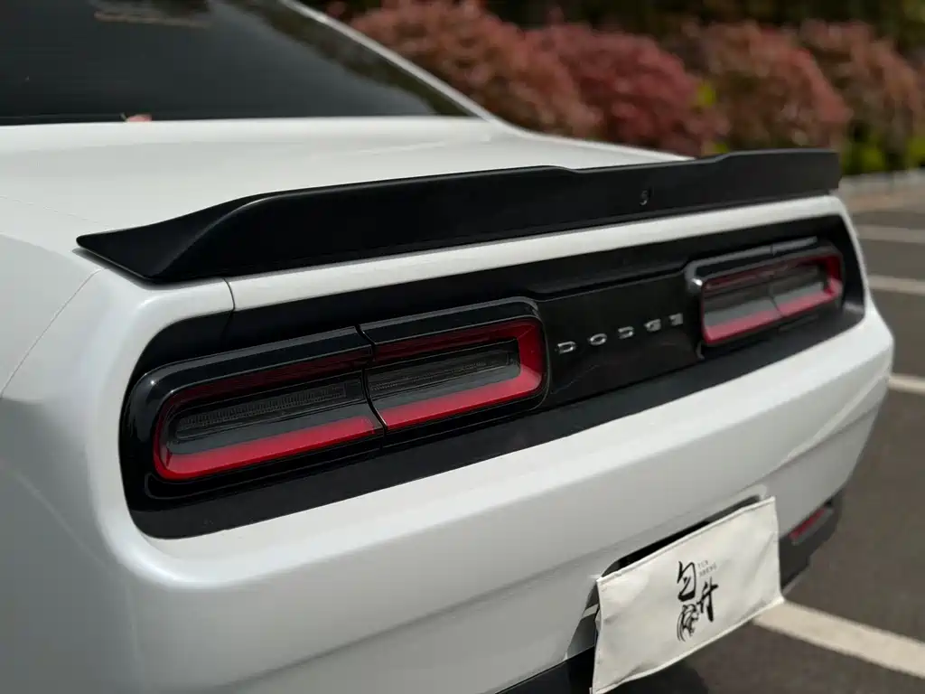 Dodge  2020 — фото 12