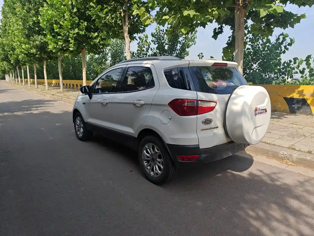 Ford Ecosport 2014 — фото 14