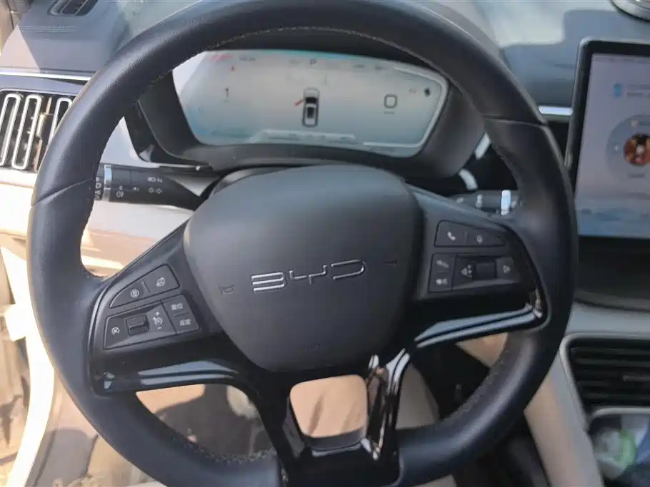 BYD PLUS New Energy 2024 — фото 15