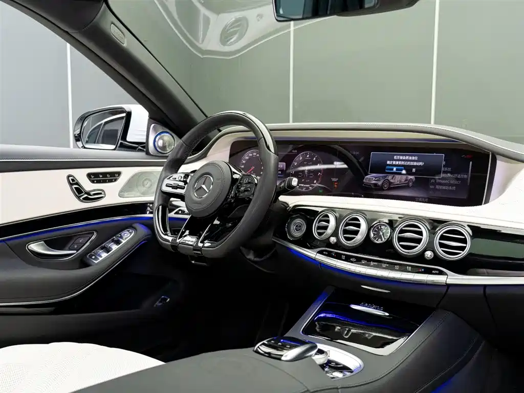 Mercedes-Benz S-Class AMG 2020 — фото 17
