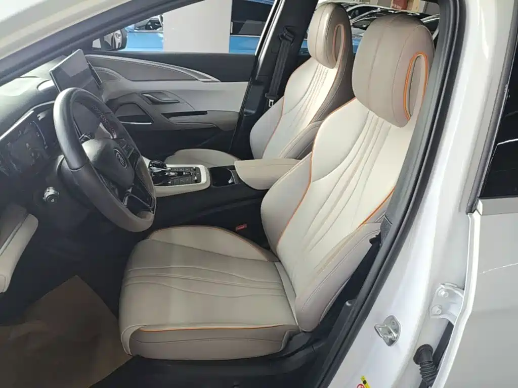 BYD Song Pro New Energy 2024 — фото 15
