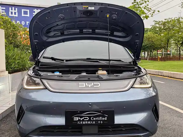 BYD Dolphin 2025