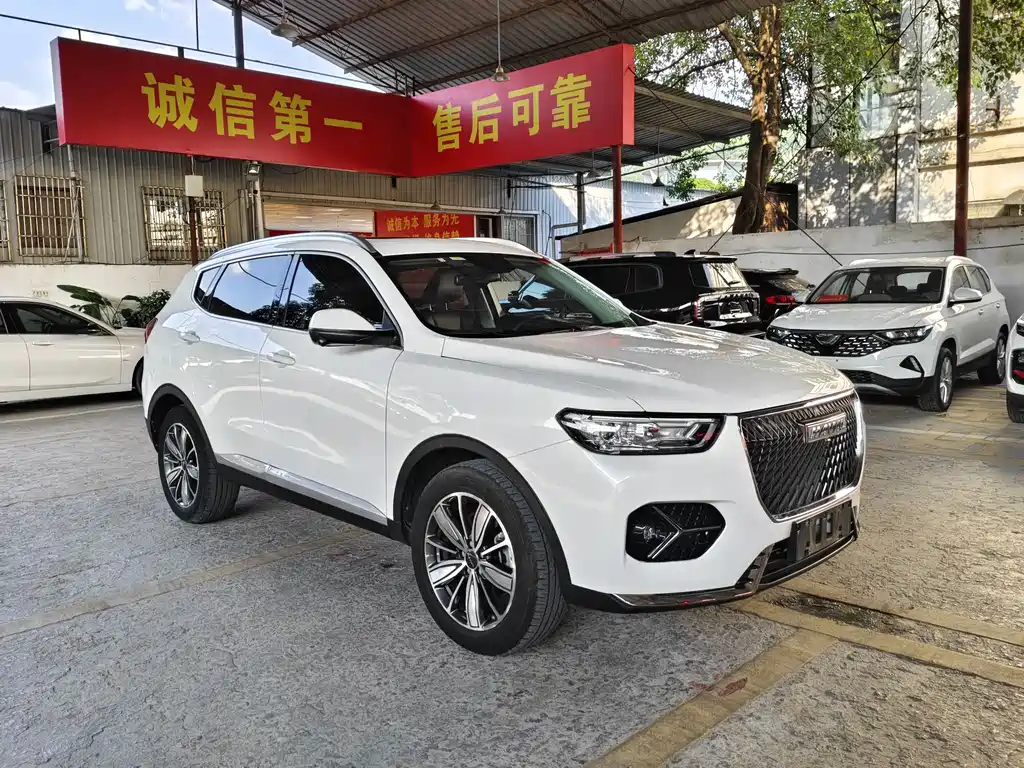 Haval H6 2021 — фото 3