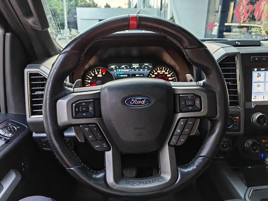 Ford F-150 Raptor 2020 — фото 8