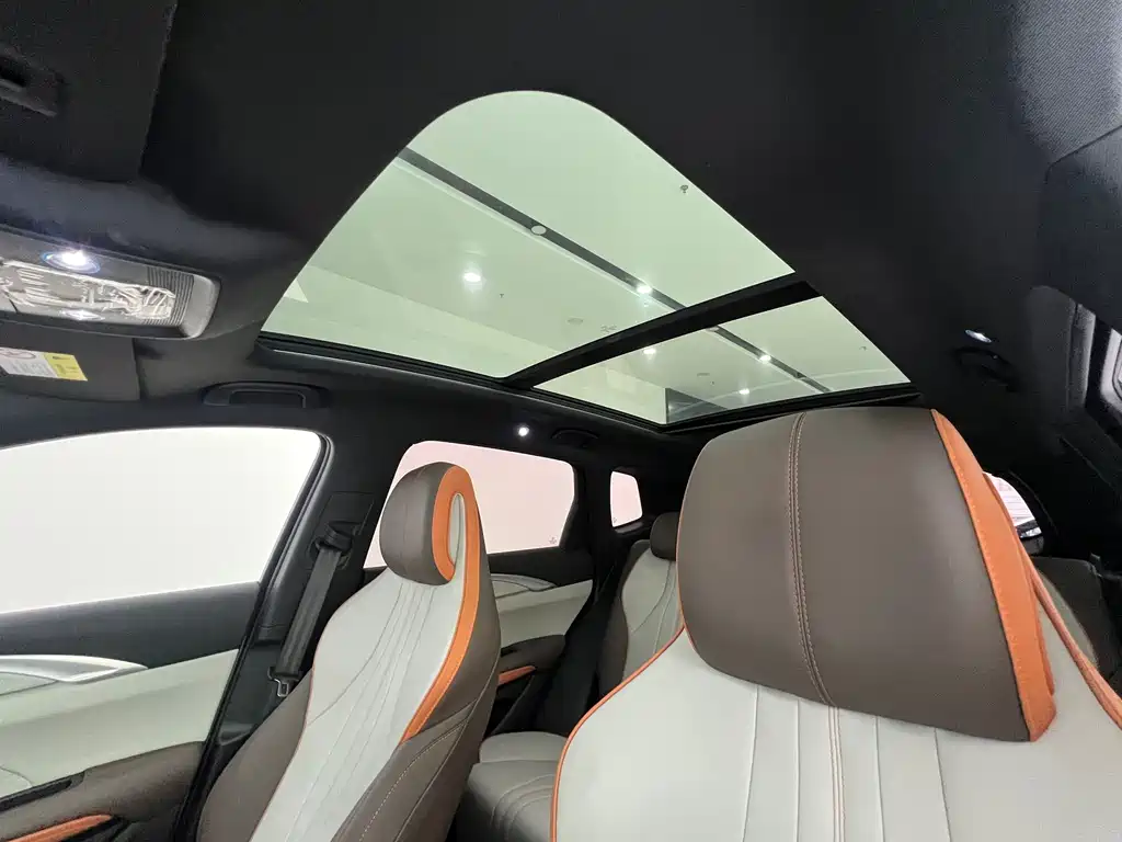 BYD Pro New Energy 2023 — фото 20