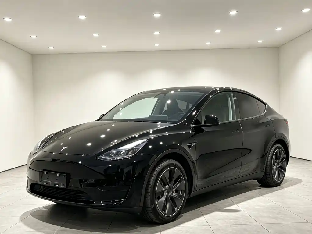 Tesla Model Y 2023 — фото 3