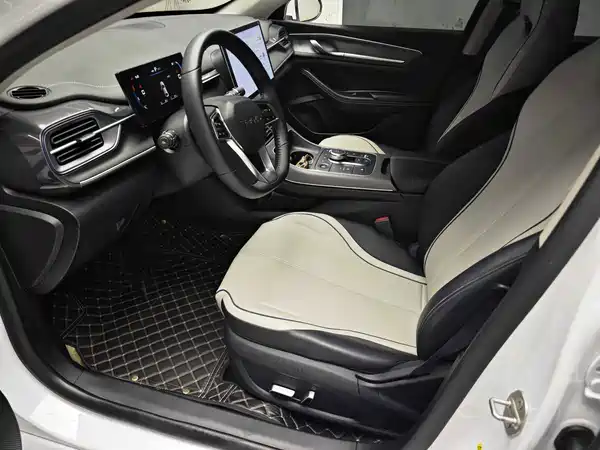 BYD Destroyer 05 2024