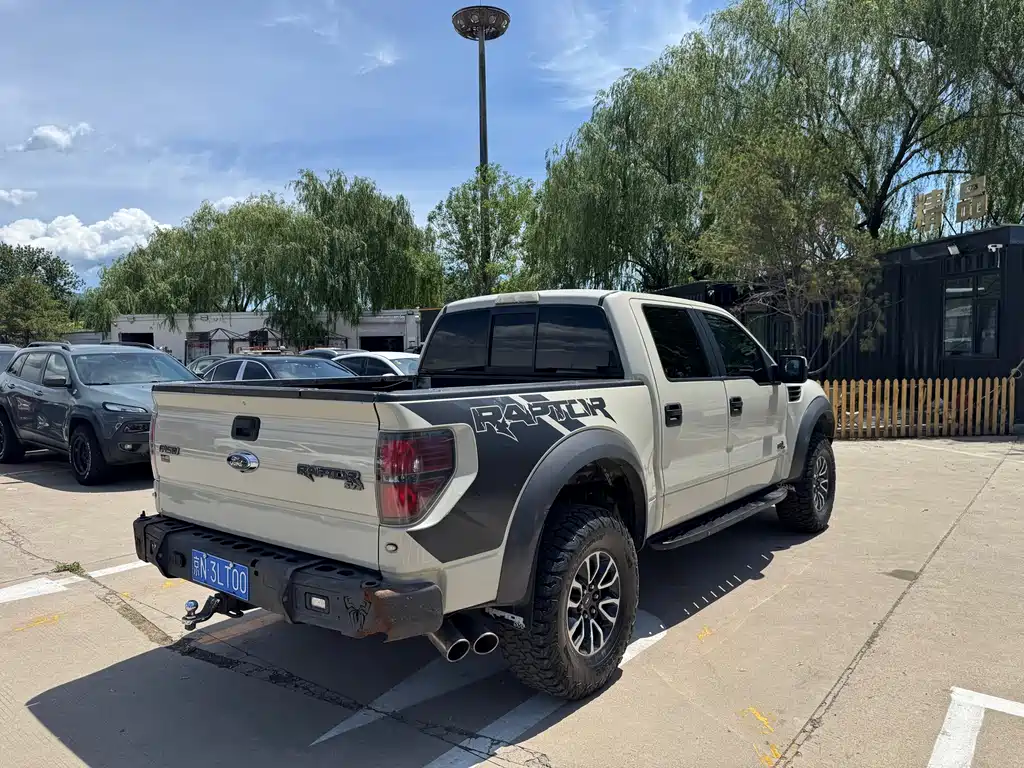 Ford F-150 Raptor 2014 — фото 9